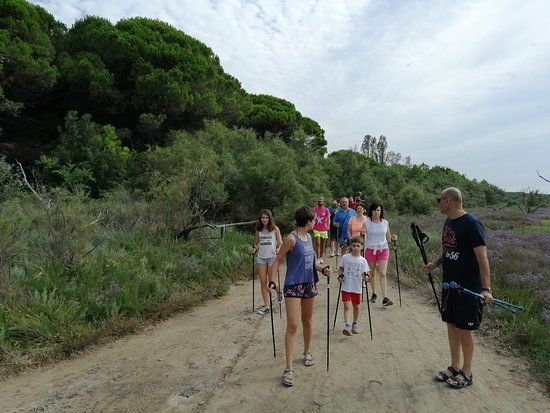 Pineta di Eraclea Mare